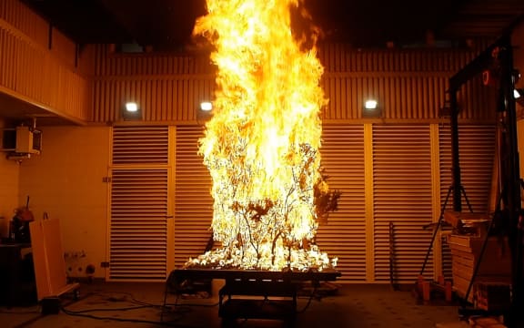 A bush engulfed in raging flames on a metal platform in a warehouse-style lab.