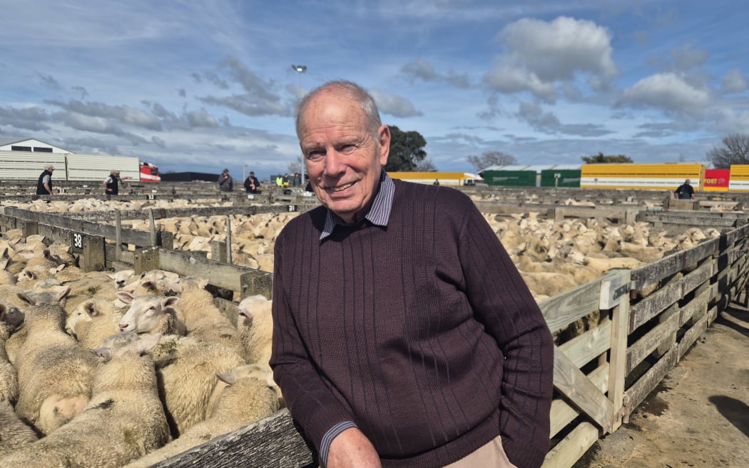 Eric Linklater is one of several retired Feilding farmers that now shares his insights through tours of the local saleyards.