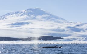 McMurdo Sound.