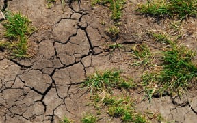 Dry grass, cracked earth, generic