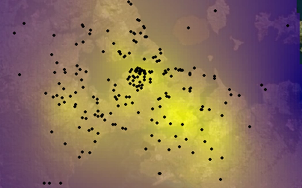 A map shows the intensity of light across Auckland, with black dots indicating where grounded seabirds have been found in the city. There is a cluster of black dots in the CBD.