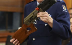 Gun laws will drive mental health issues underground - Hudson