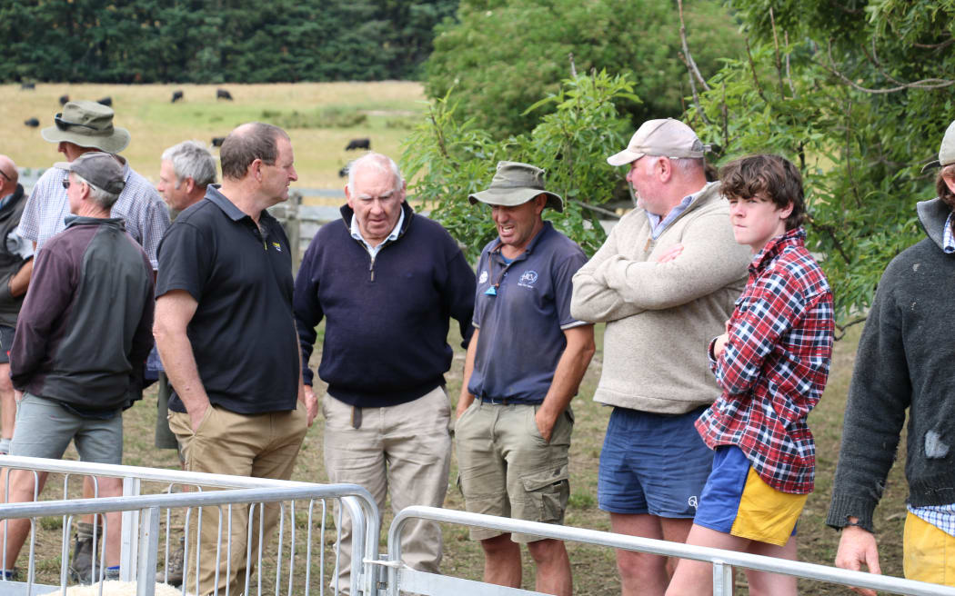 Malvern Lamb Sale