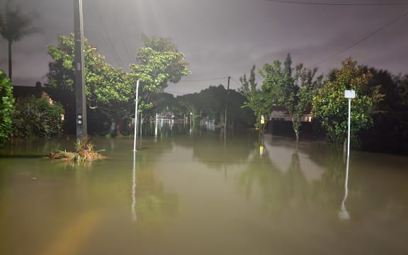 Gribblehirst park in Sandringham was flooded after heavy rain in Auckland.