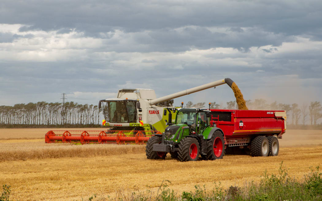 Dorie, Canterbury, New Zealand - January 19 2019: A combine harvester unloads barley into the bins in a field in summertime