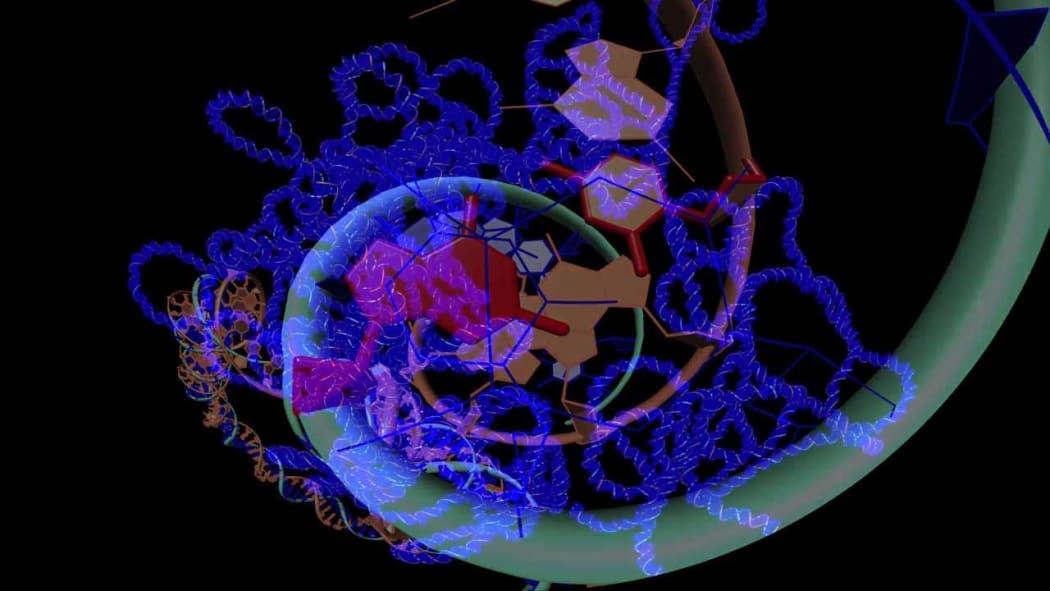 HIV RNA