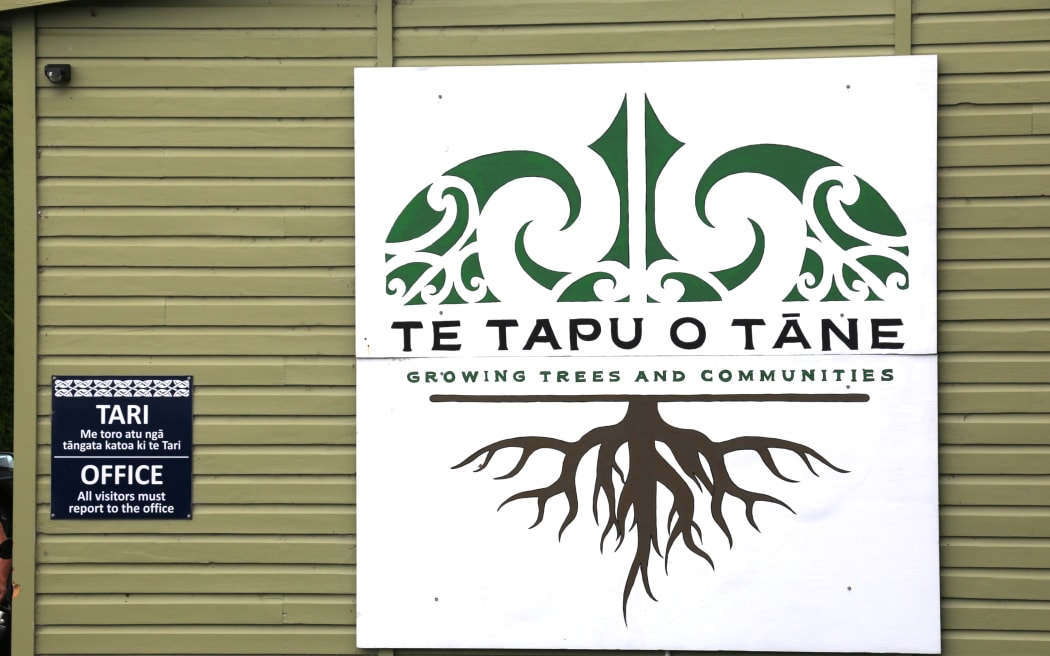 Te Kōhaka o Tāne