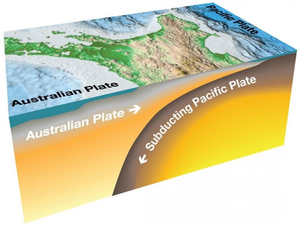 Hikurangi subduction zone.