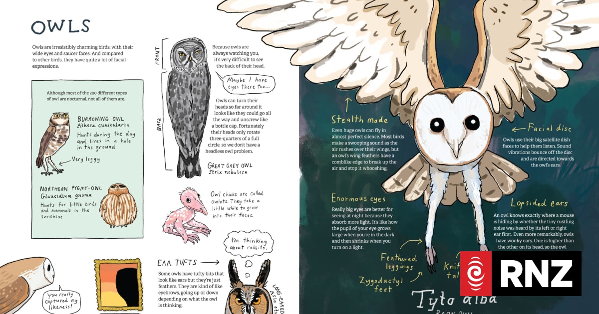 Children’s bird book stuns with perfect score at design awards
