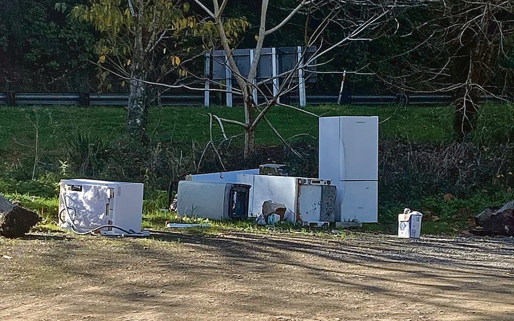 A variety of whiteware has also been dumped at the Wardlaw Glade carpark.