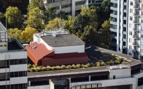 Living roof project could provide green shoots for Auckland's concrete jungle.