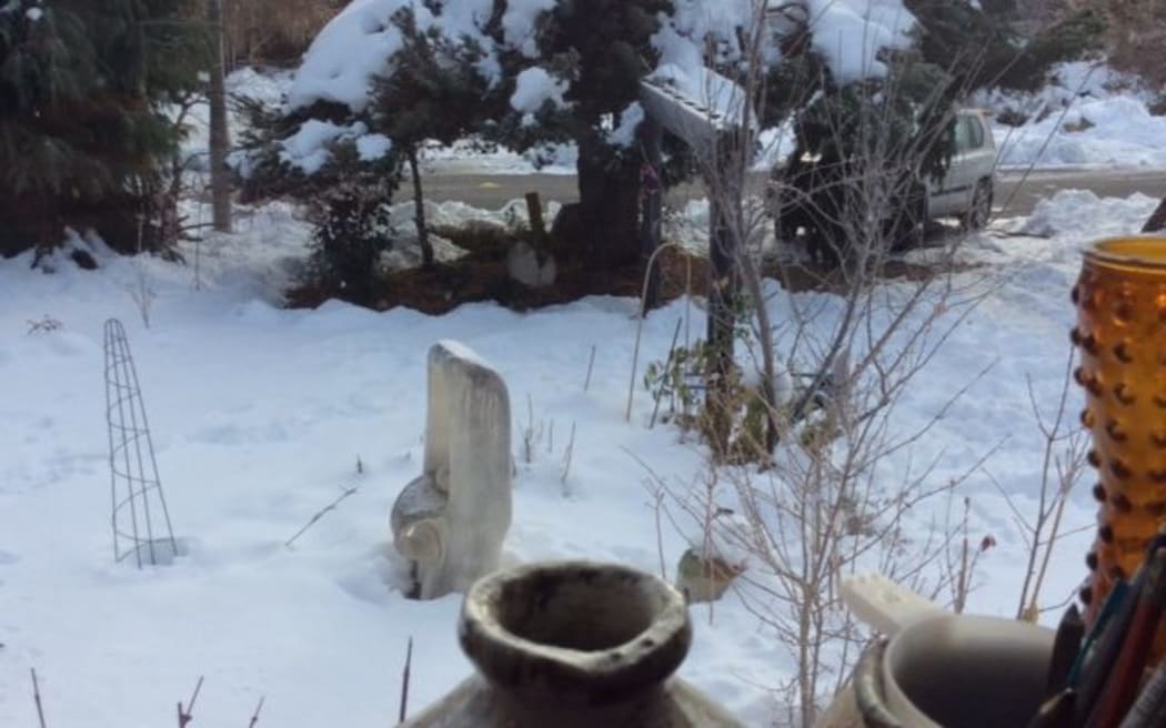 Snow in a Tekapo garden this morning.