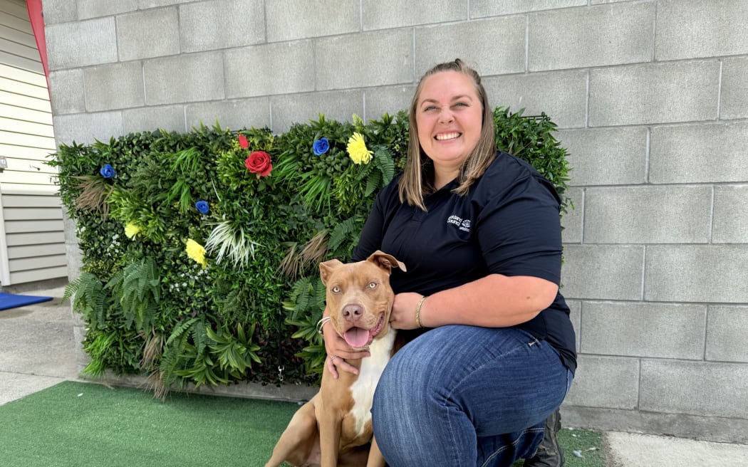 Pukekohe Adoption and Education Centre senior shelter operations Kayleigh Hatcher with Russell.