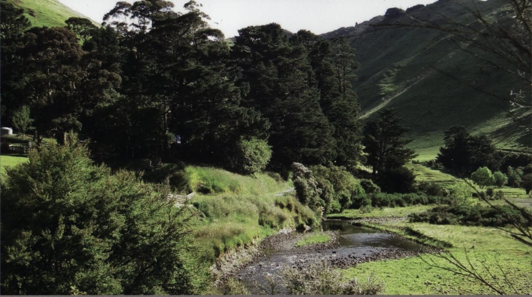 No site has yet been confirmed, but a dam could flood this valley at Mangatarere.