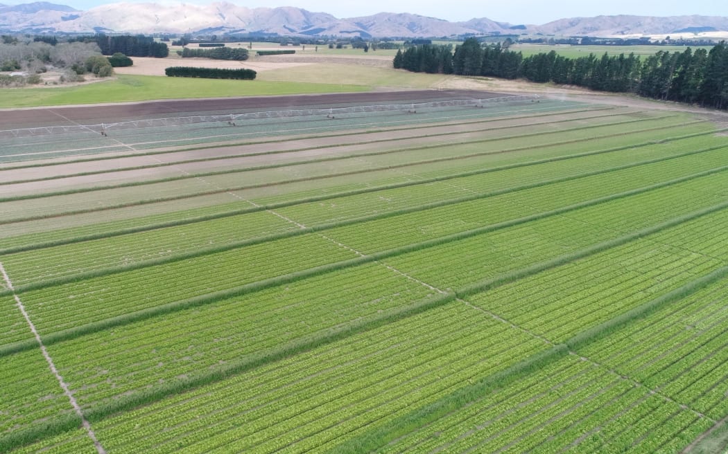 Scott Fresh farm