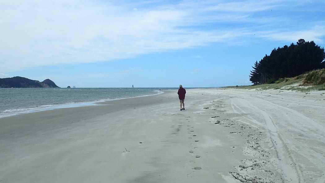 A long view down the length of the beach south of Marsden Point.