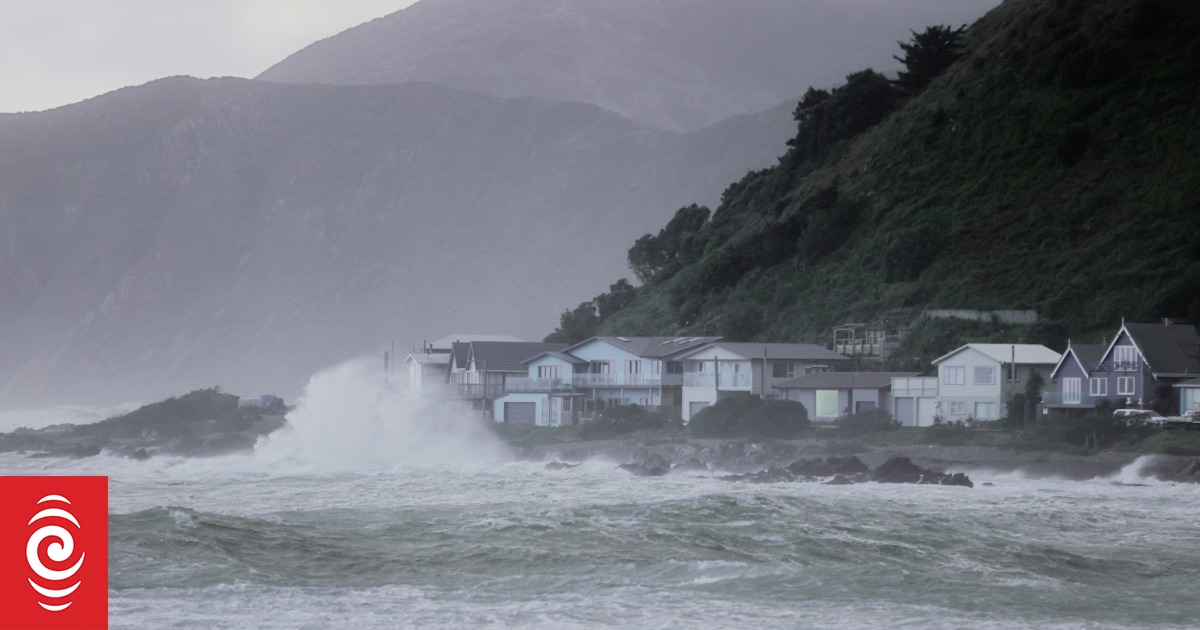 Live: Wellington braces ahead of forecast huge swe