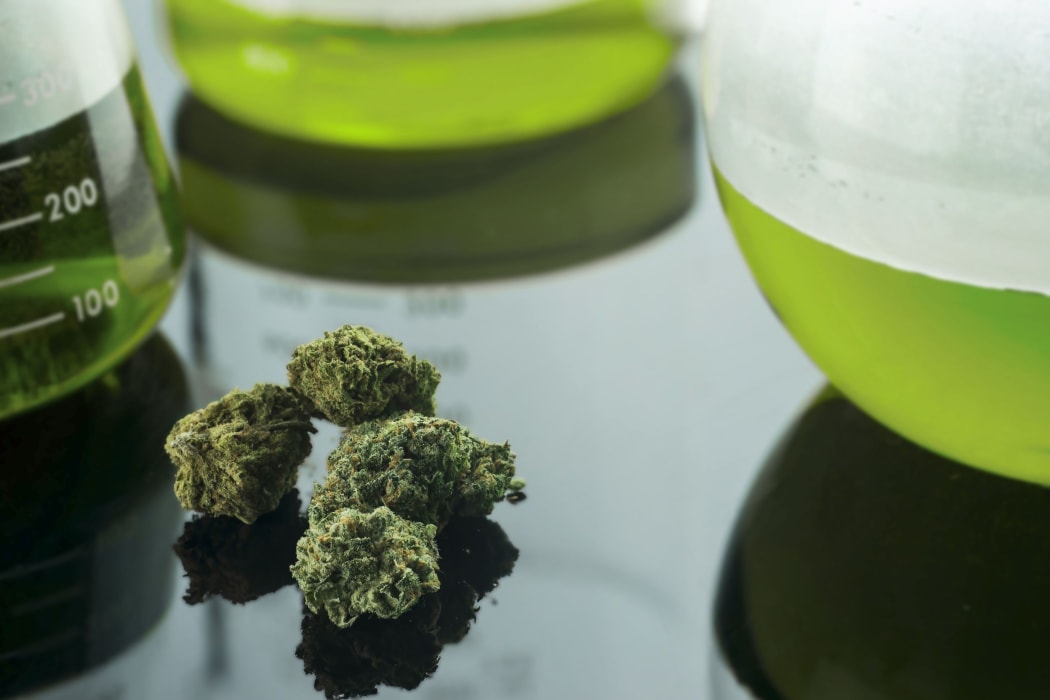 cannabis medicines