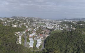 Miramar Peninsula, Wellington, urban landscape-scale predator eradication project