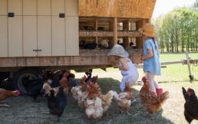 Two young girls on farm, collecting eggs from chicken coop.