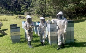 Woodland's Organic Honey beekeepers in the field