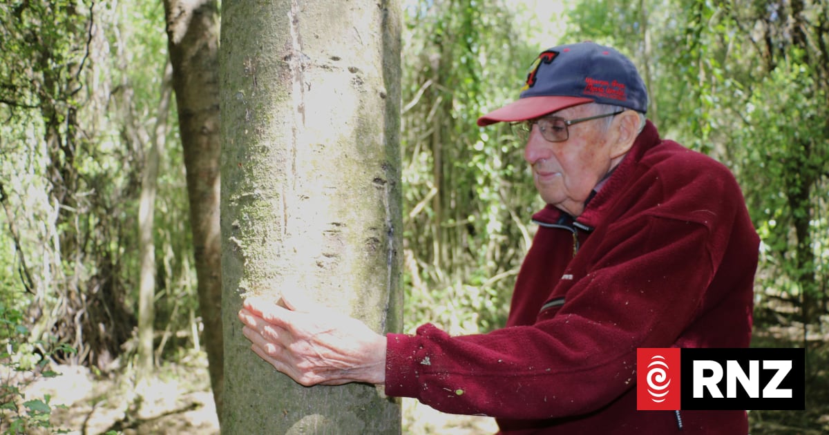 'The first thing I did was collect seeds' | RNZ