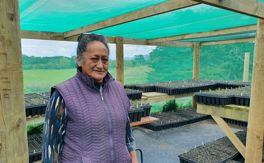 Teresa Aporo, Kohunui Marae trustee