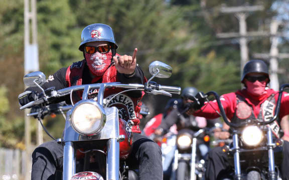 Mongrel Mob gang
