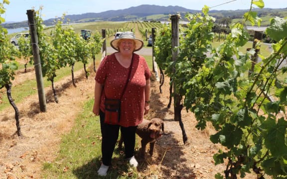 Kim Gilkison of Dancing Petrel wines in the vines on Paewhenua Island.