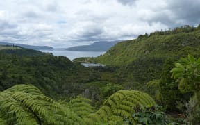 Lake Tarawera
