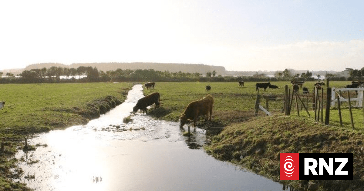 Government pressing ahead with three waters reforms | RNZ