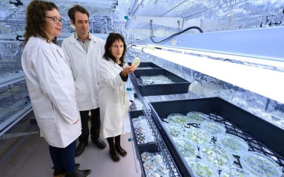 Scientists from Plant & Food Research