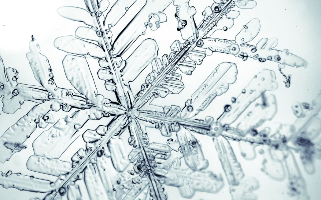 Branched star-shaped snow flake