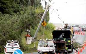 Workers Clearing fallen trees from power lines near Kumeu, during Cyclone Gabrielle. 14/2/23