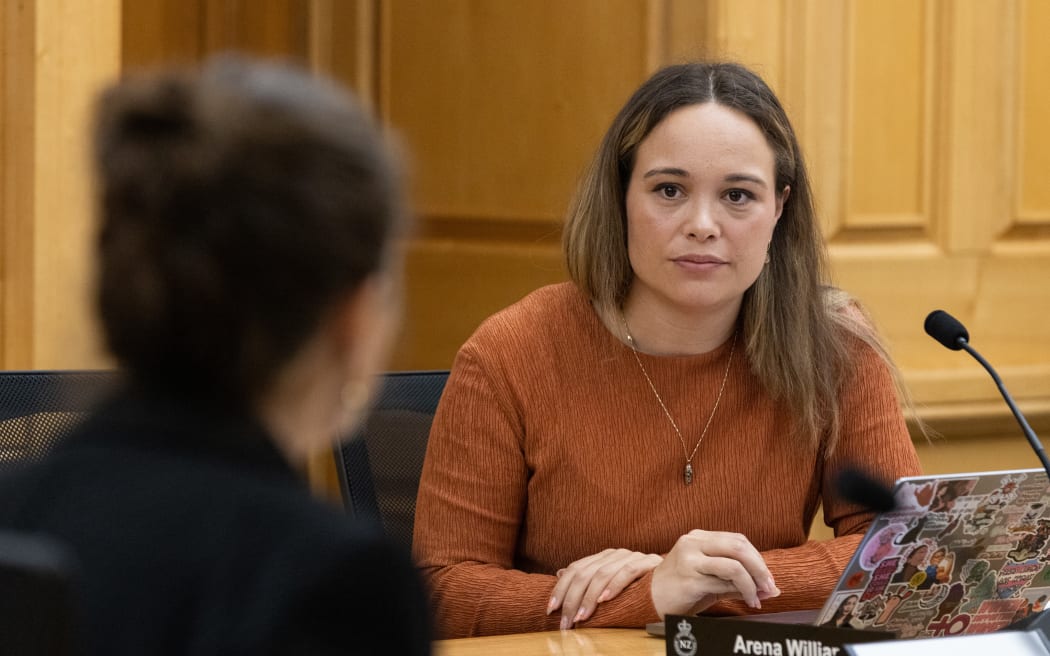 Labour Party MP Arena Williams participates in Parliament's Justice Select Committee.