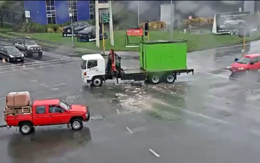 Fish in Christchurch