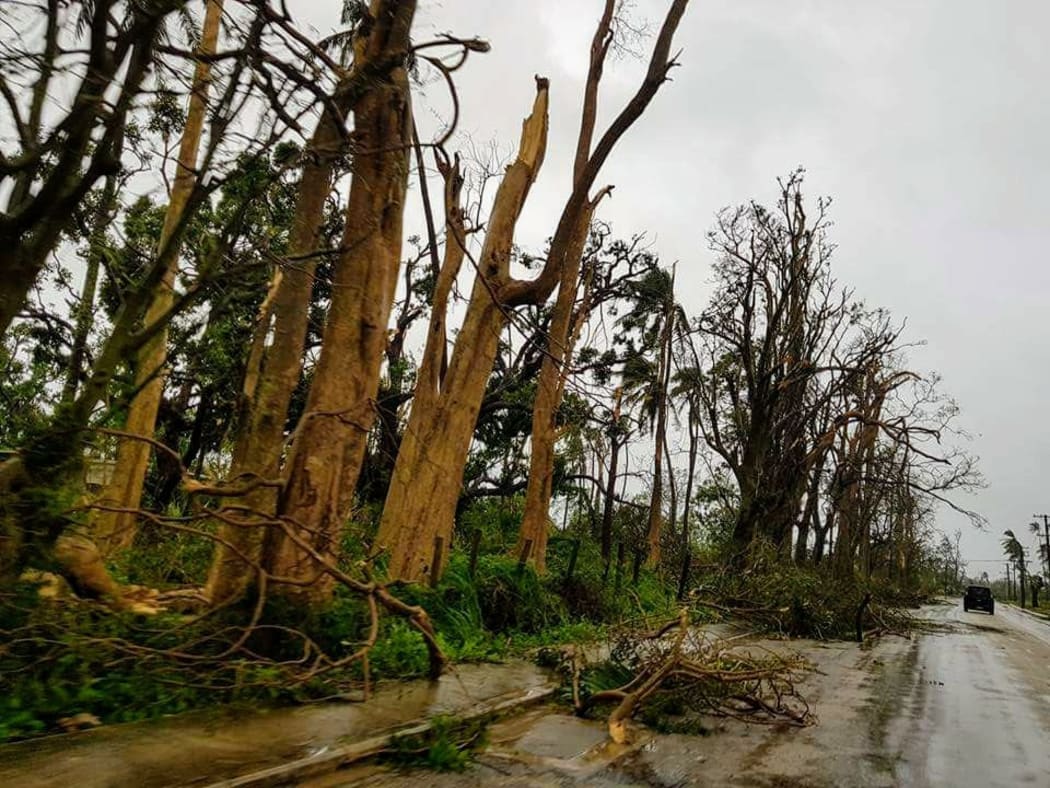 Trees stripped by Gita, Tonga