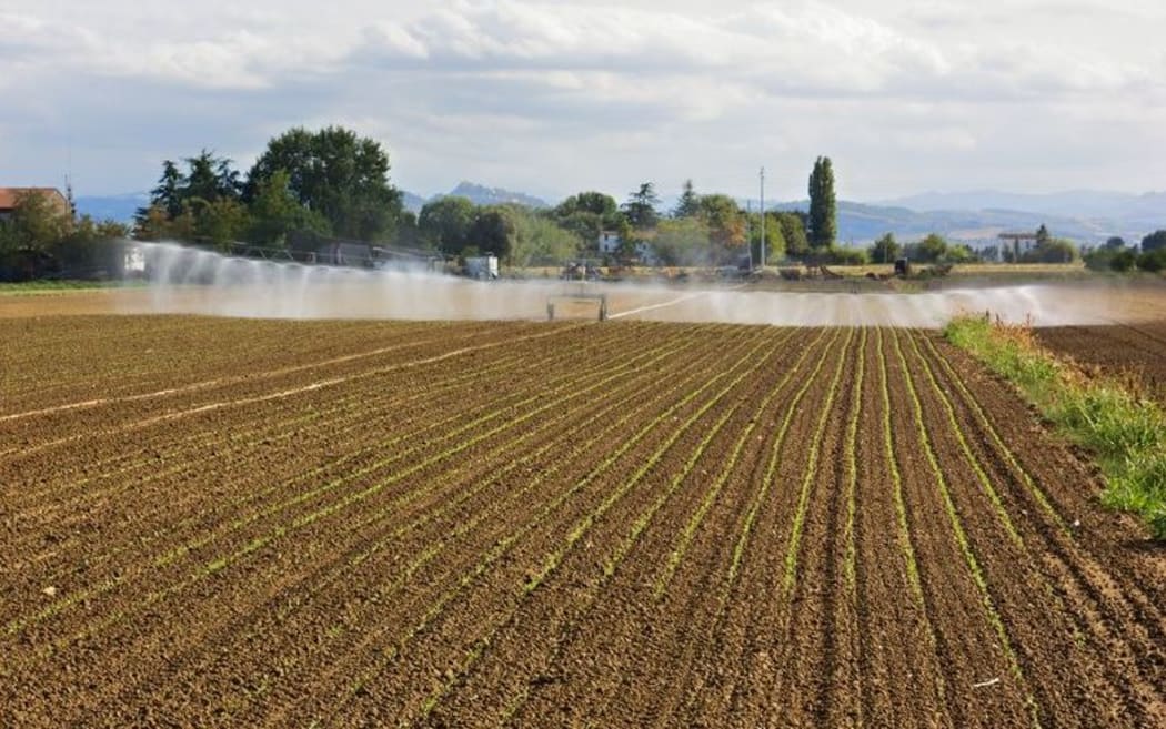 Irrigator