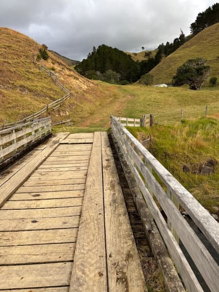 Hills are a constant on the Pahi Coastal Walk.