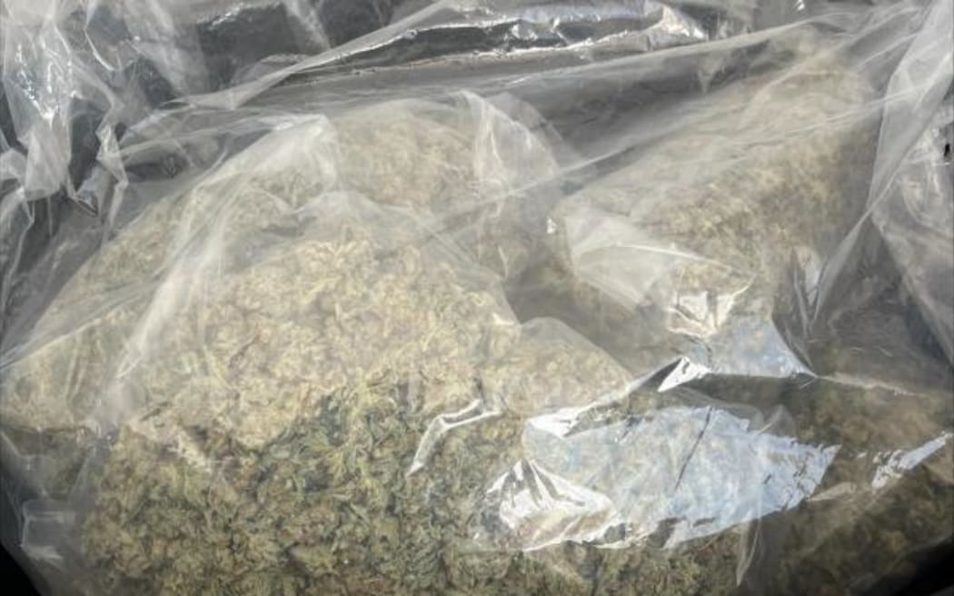 Cannabis recovered during the operation in Fitzroy, Taranaki