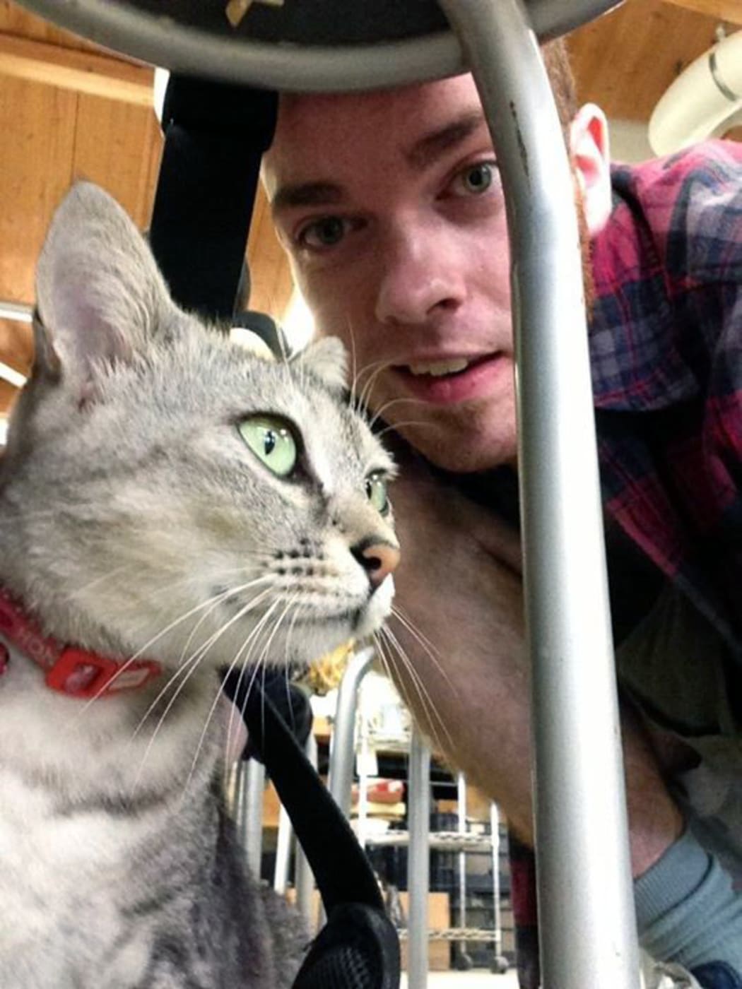 A picture of Sean McDonald, 23, with a cat