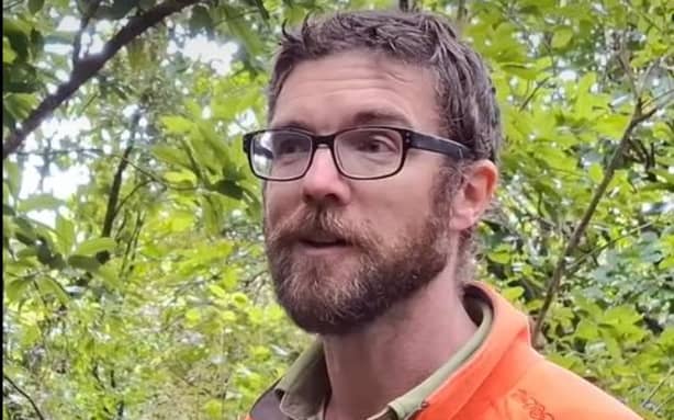 DOC ranger snaps rare footage of tuatara and takahē 'having a scrap' | RNZ
