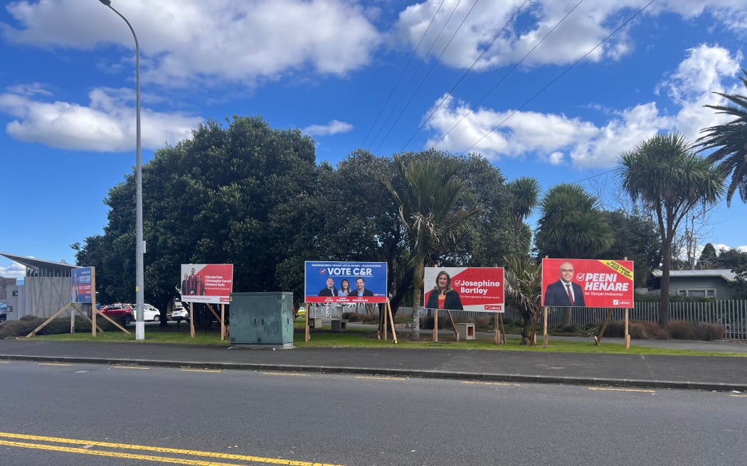 Vandalised local body election sign