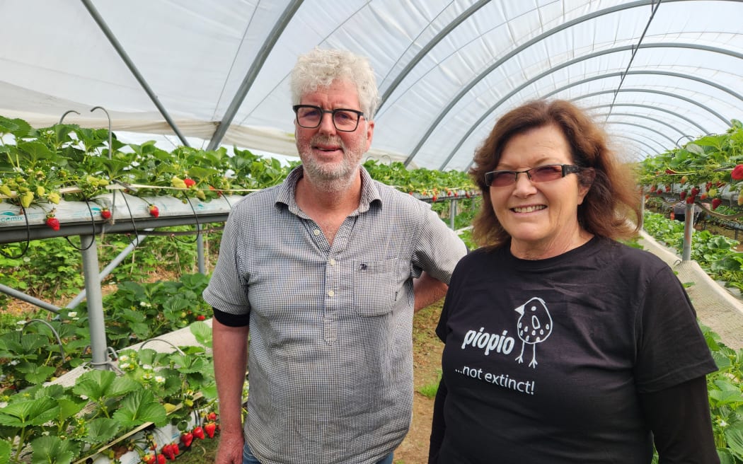 Mike and Angela Roy standing in one of their polytunnels