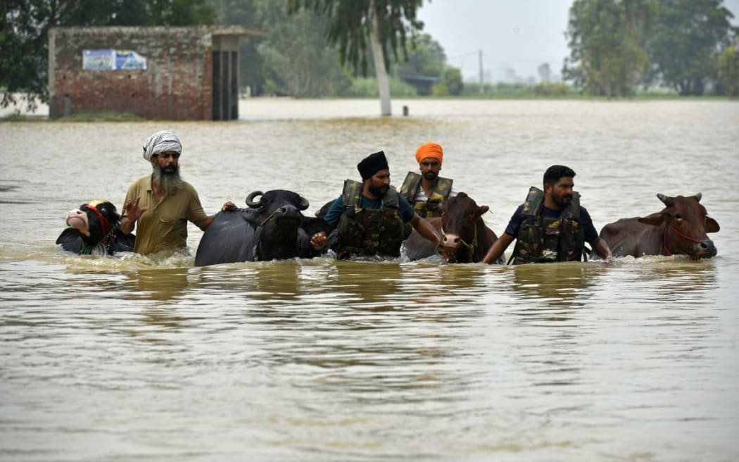 Local men along with Indian Army personnel rescue their cattle through the flooded waters of the Beas river at Mand village in the Kapurthala district of India's Punjab state on August 29, 2025. (Photo by Shammi MEHRA / AFP)