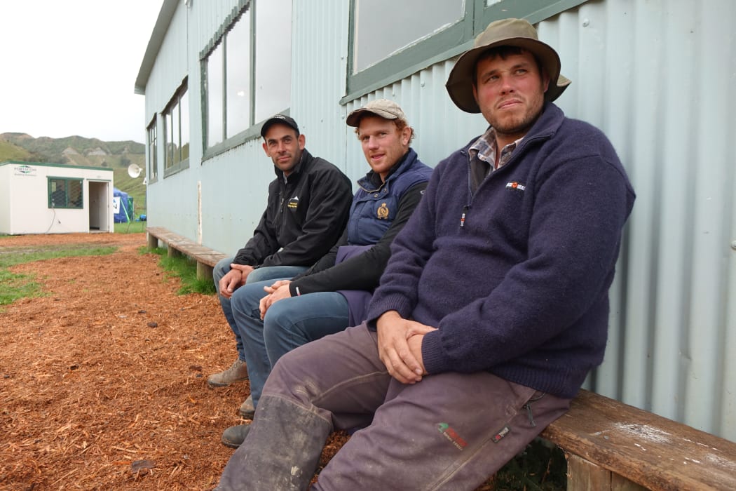 Dog Trial fans, Taranaki