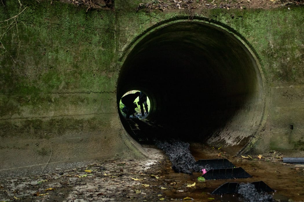 The Turning Point Episode 5 Charlotte Rnz