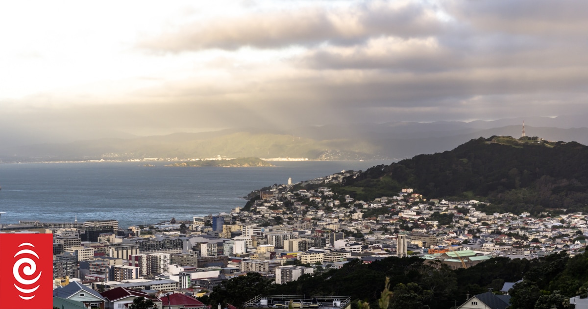 Are Wellington’s council leaders running for the top jobs again this year?