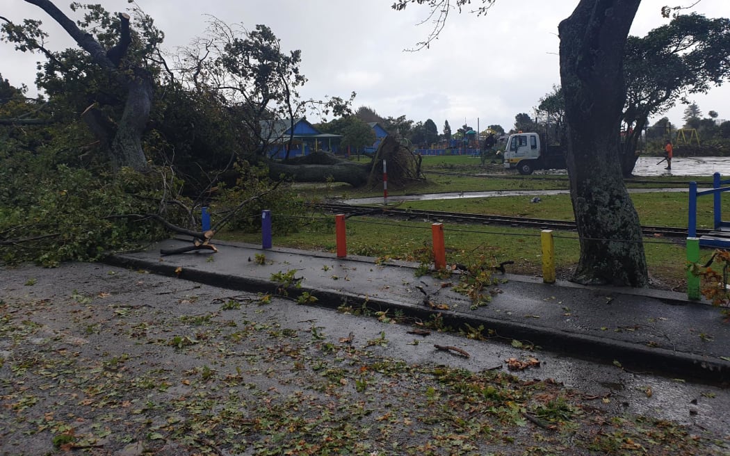 Trees are seen uprooted at Levin Adventure Park after severe wind gusts blew through the town on 20 May, 2022.
