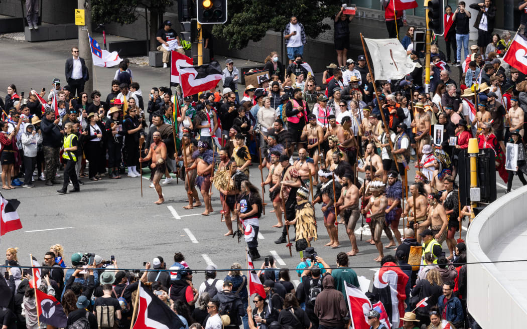 The hikoi against the Principles of the Treaty of Waitangi Bill reaches Parliament.